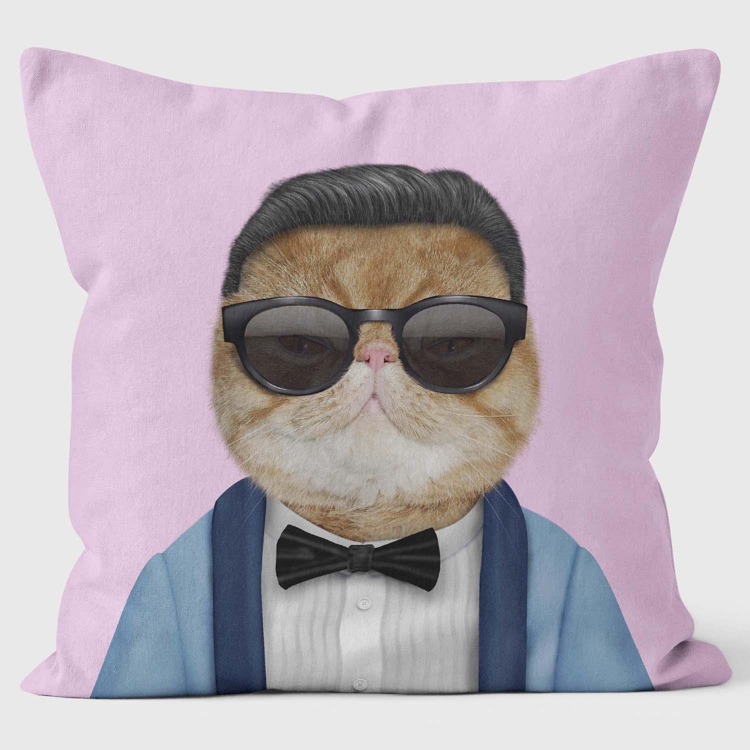 Korea - Pets Rock Cushion - Handmade Cushions UK - WeLoveCushions