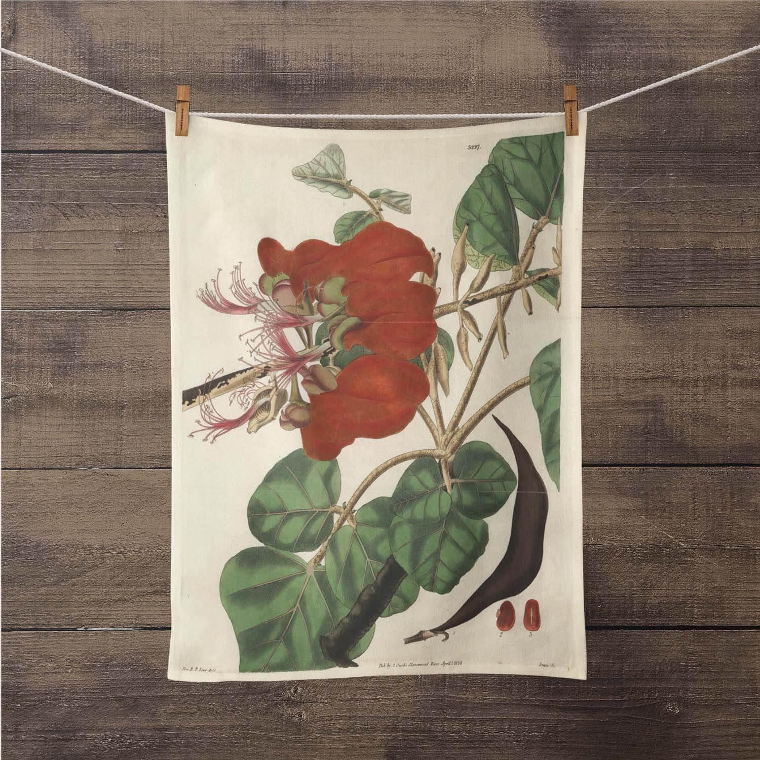 Velvety Erythrina - Botanical Tea Towel