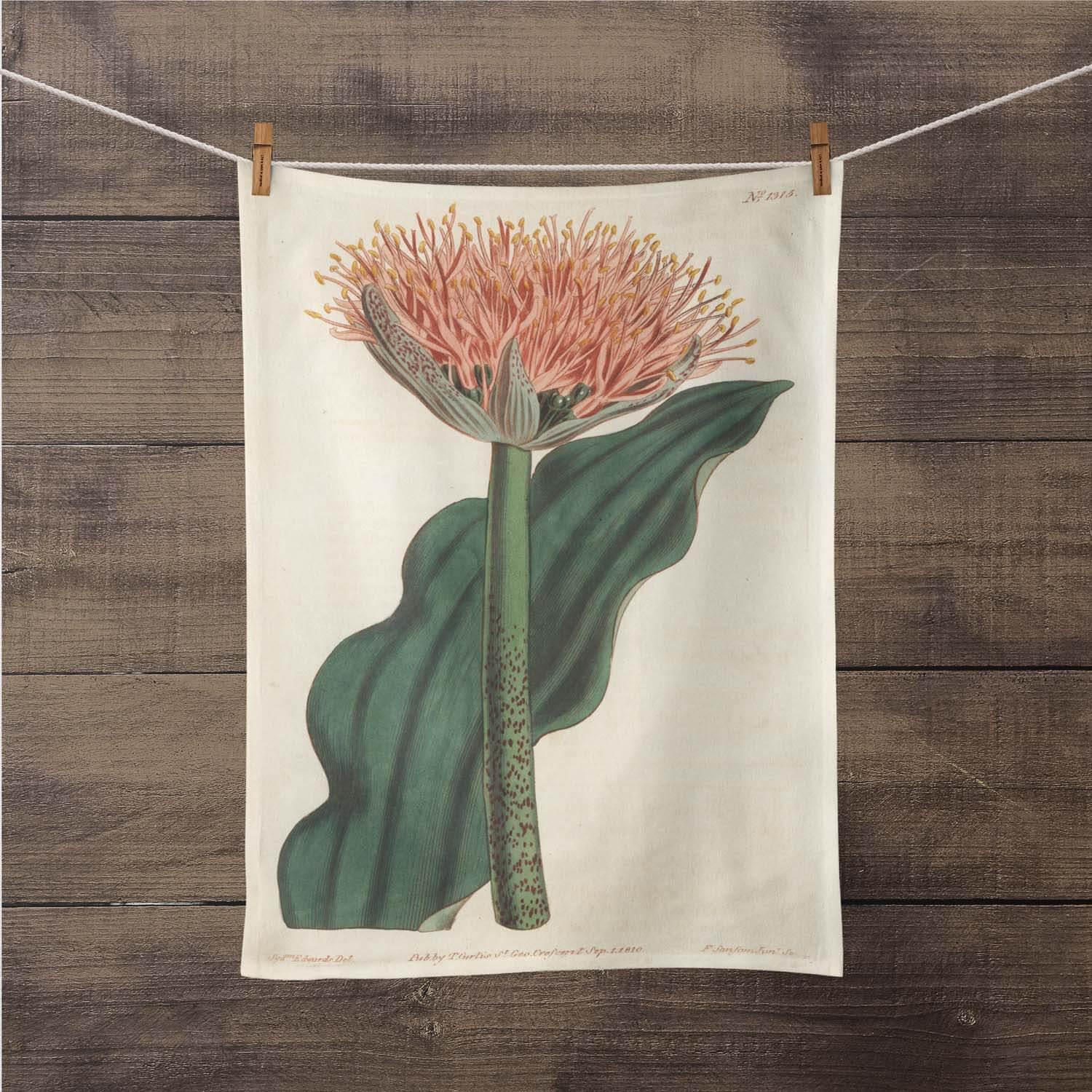 Paintbrush Lily - Botanical Tea Towel