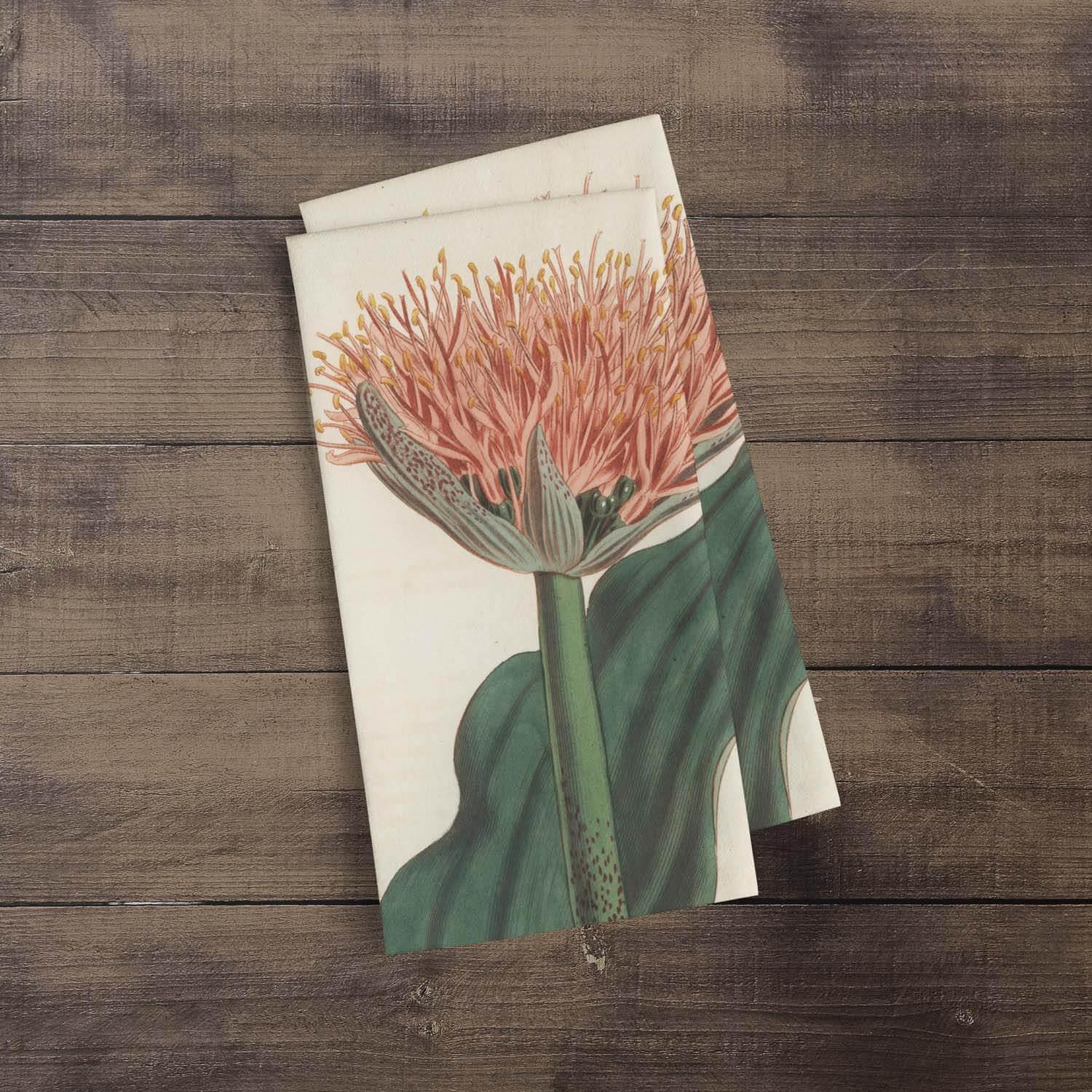 Paintbrush Lily - Botanical Tea Towel