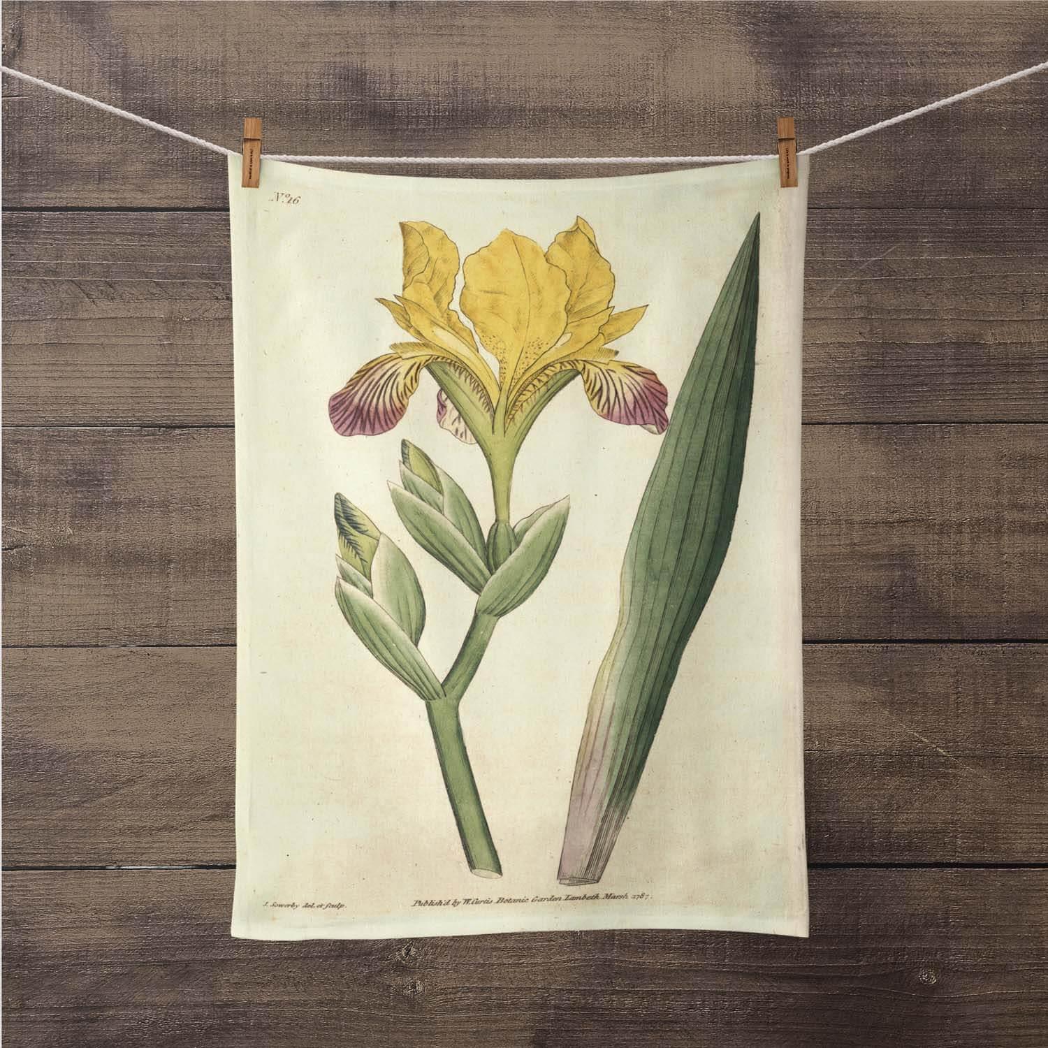 Variegated Iris - Botanical Tea Towel