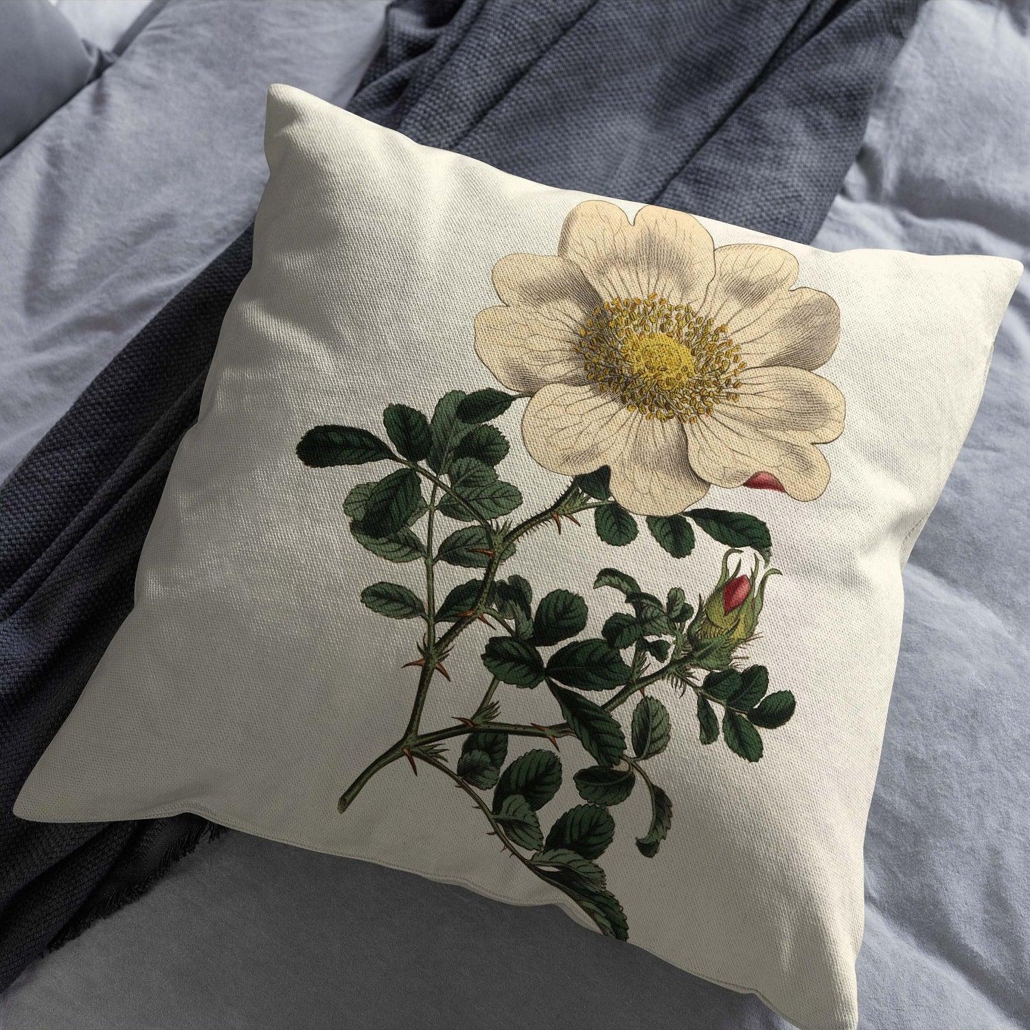 Macartney 's Rose - Botanical Cushion - Handmade Cushions UK - WeLoveCushions