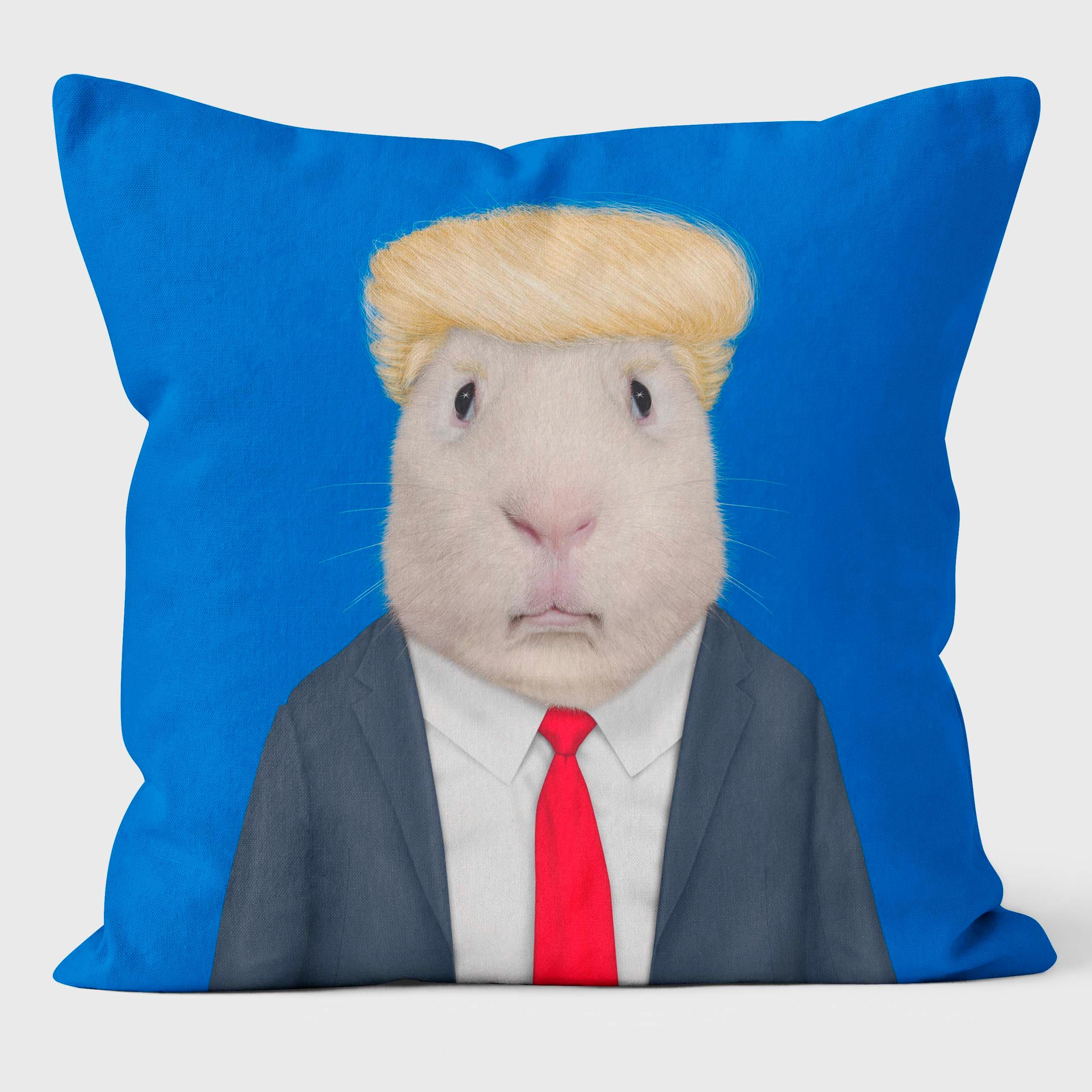 Mr Orange - Pets Rock Cushion - Handmade Cushions UK - WeLoveCushions
