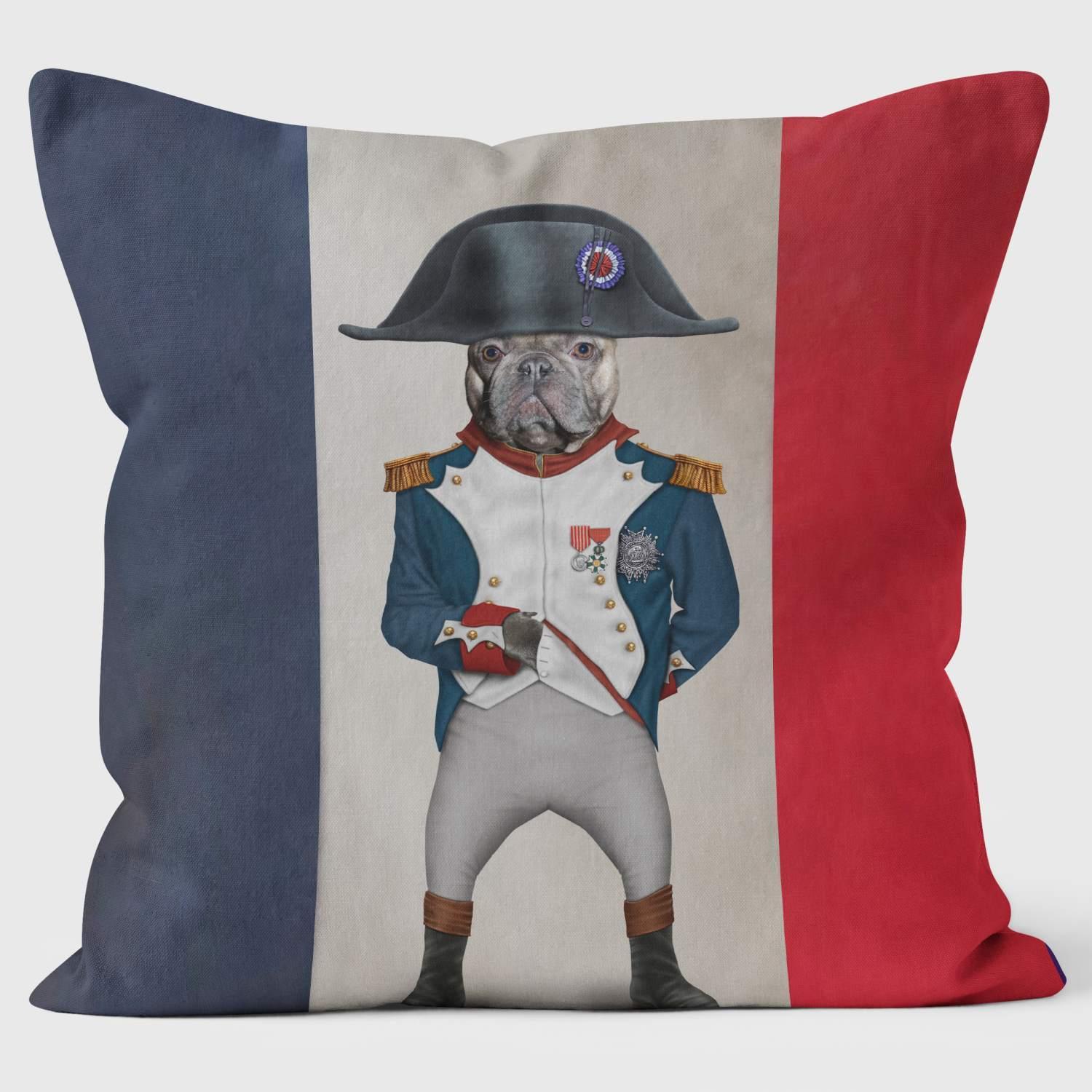 Napoleon Flag - Pets Rock Cushion - Handmade Cushions UK - WeLoveCushions