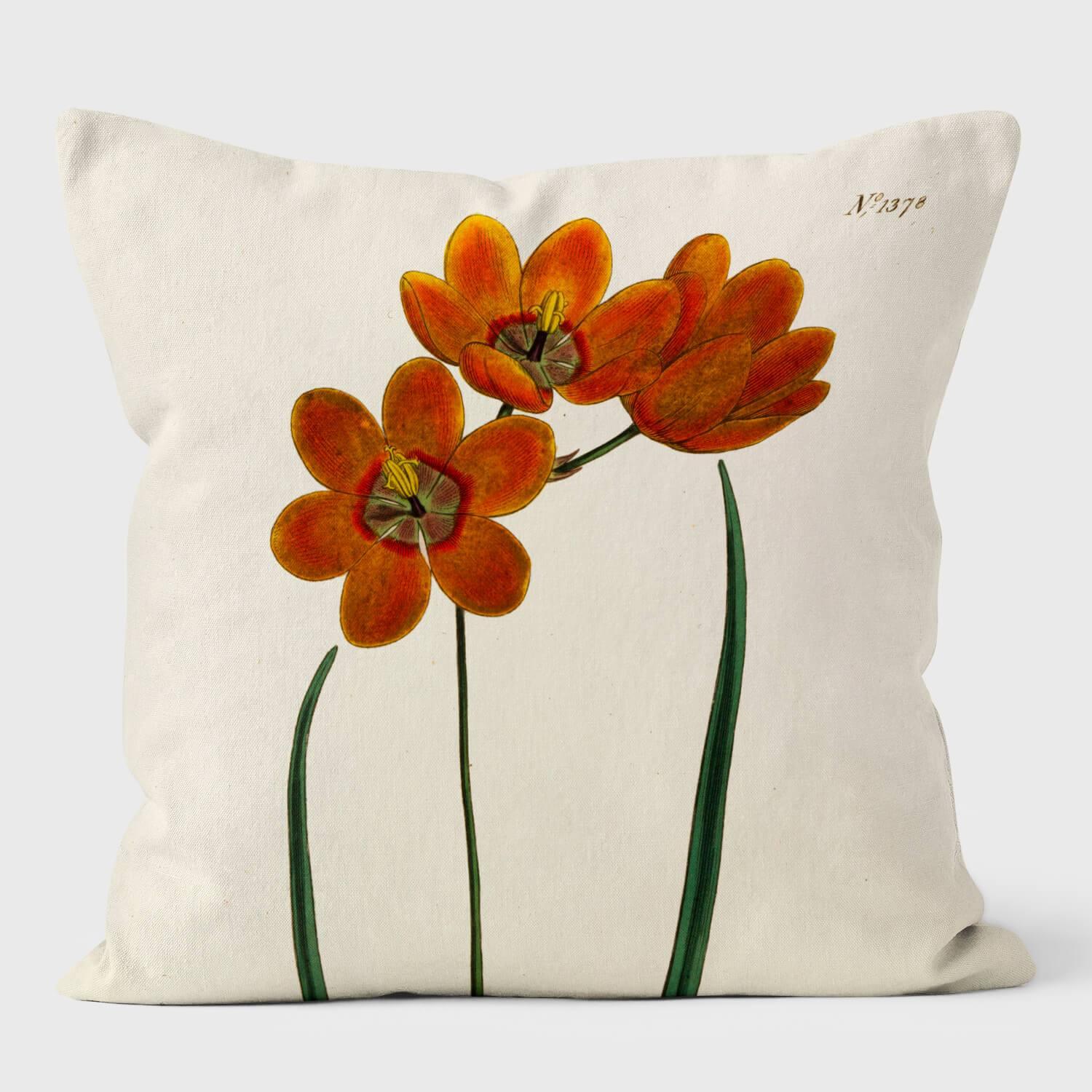 Orange Monadelpha - Botanical Cushion - Handmade Cushions UK - WeLoveCushions