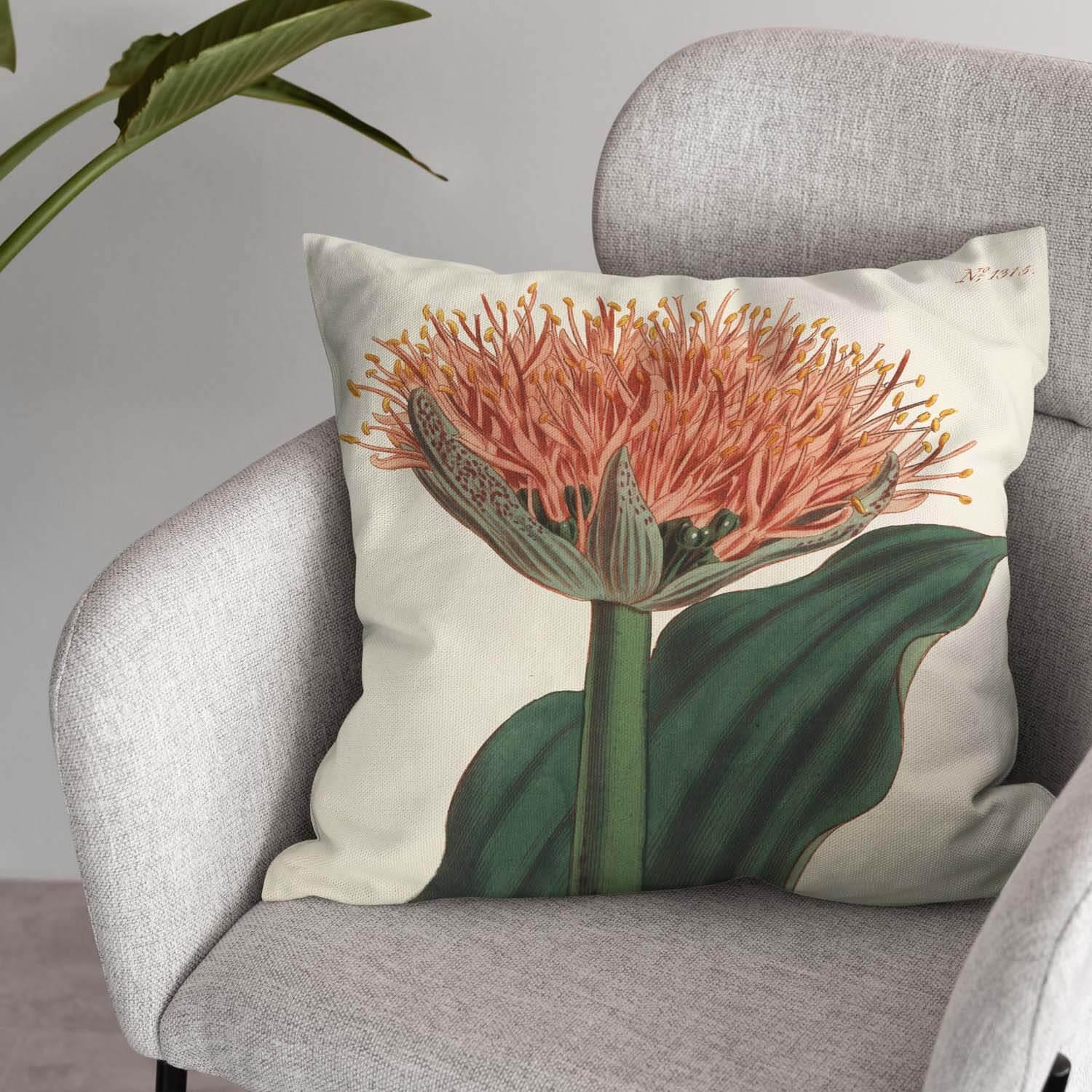 Paintbrush Lily - Botanical Outdoor Cushion - Handmade Cushions UK - WeLoveCushions