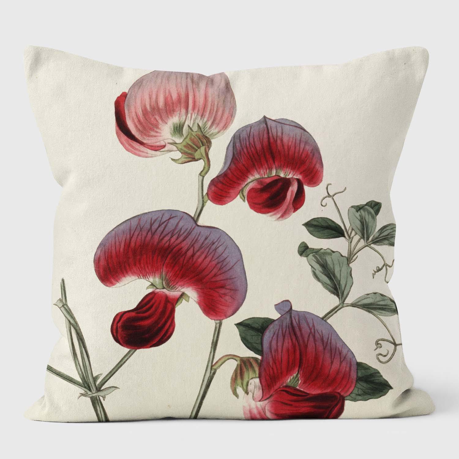 Perennial Sweetpea - Botanical Cushion - Handmade Cushions UK - WeLoveCushions