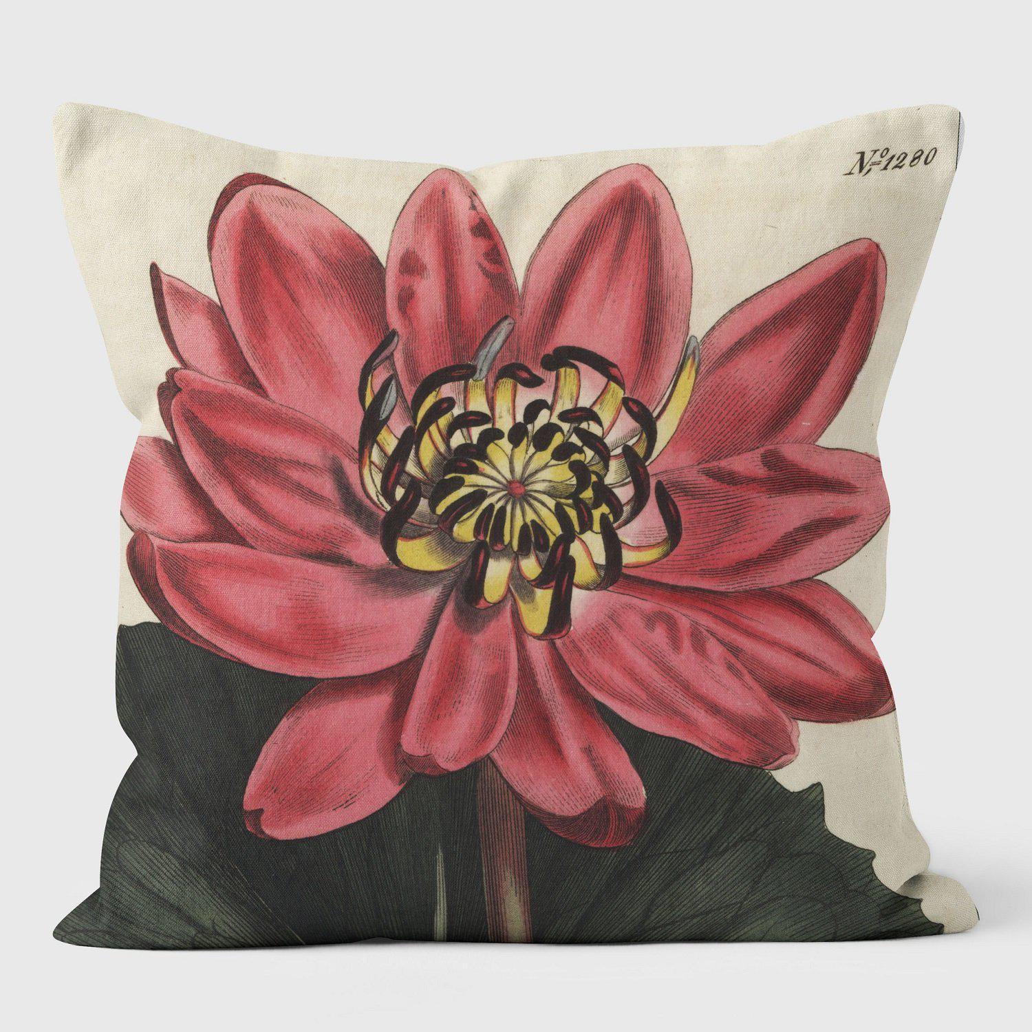 Red Flowered Water Lily - Botanical Cushion - Handmade Cushions UK - WeLoveCushions
