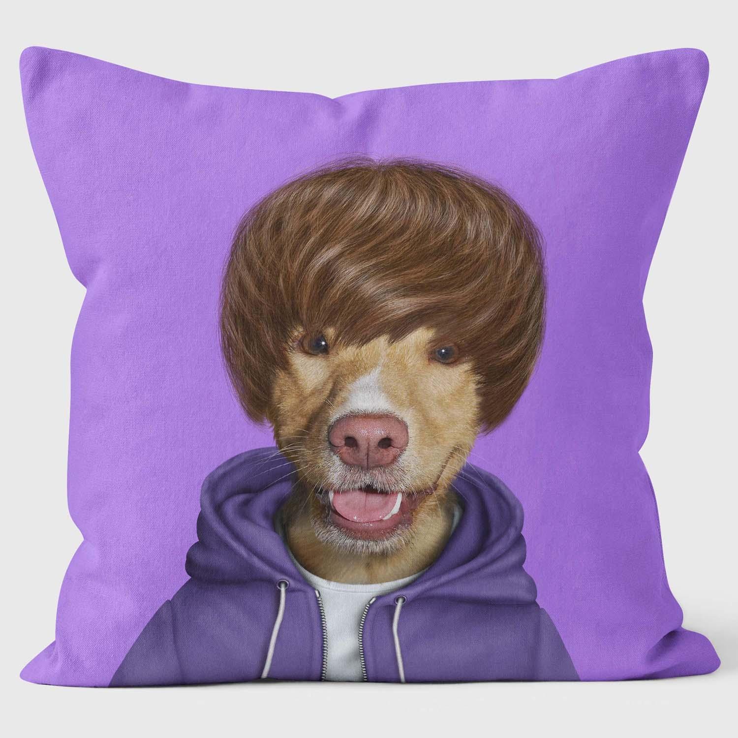 Teen - Pets Rock Cushion - Handmade Cushions UK - WeLoveCushions