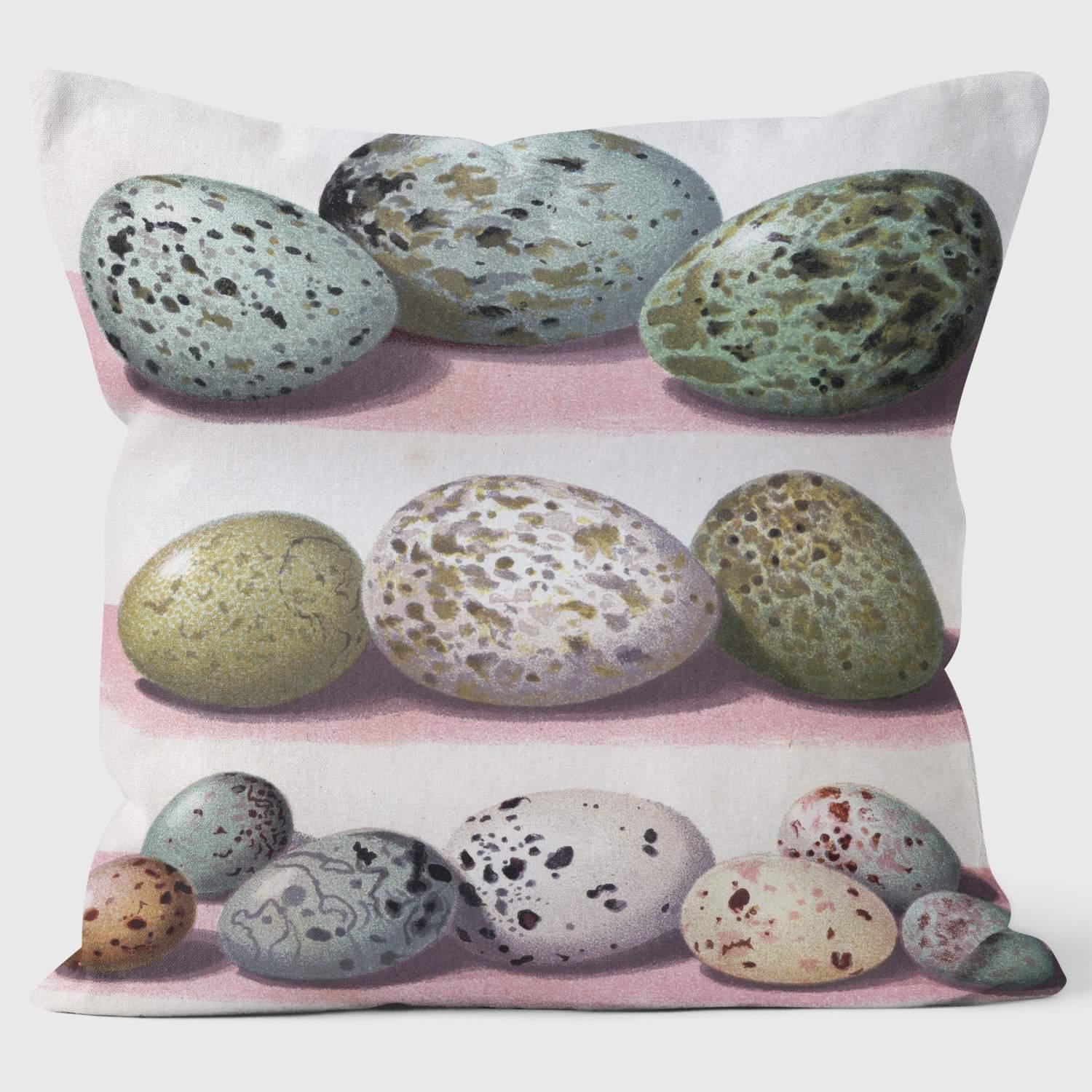The Eggs of British Birds - Special Occasions Cushion - Handmade Cushions UK - WeLoveCushions