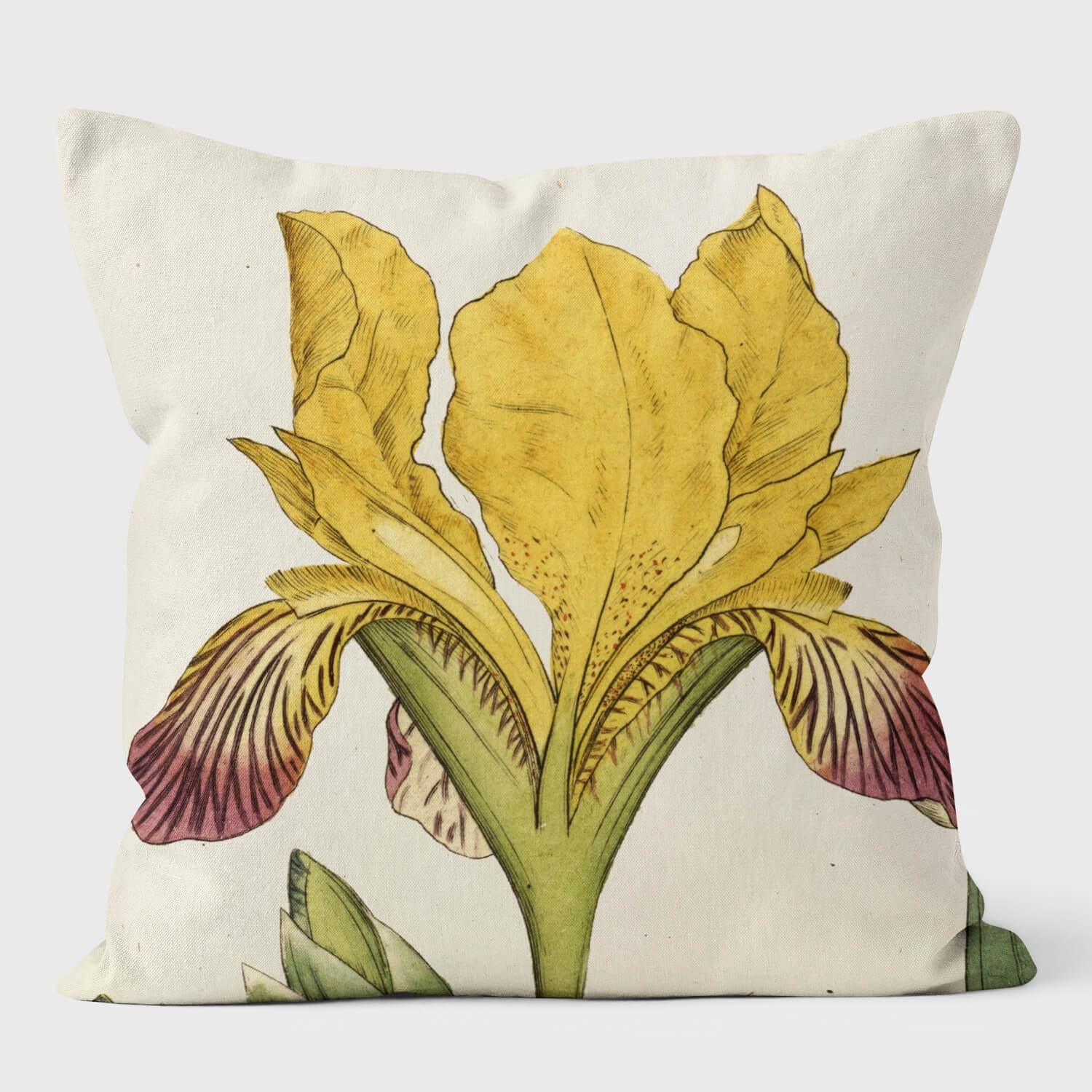Variegated Iris - Botanical Cushion - Handmade Cushions UK - WeLoveCushions