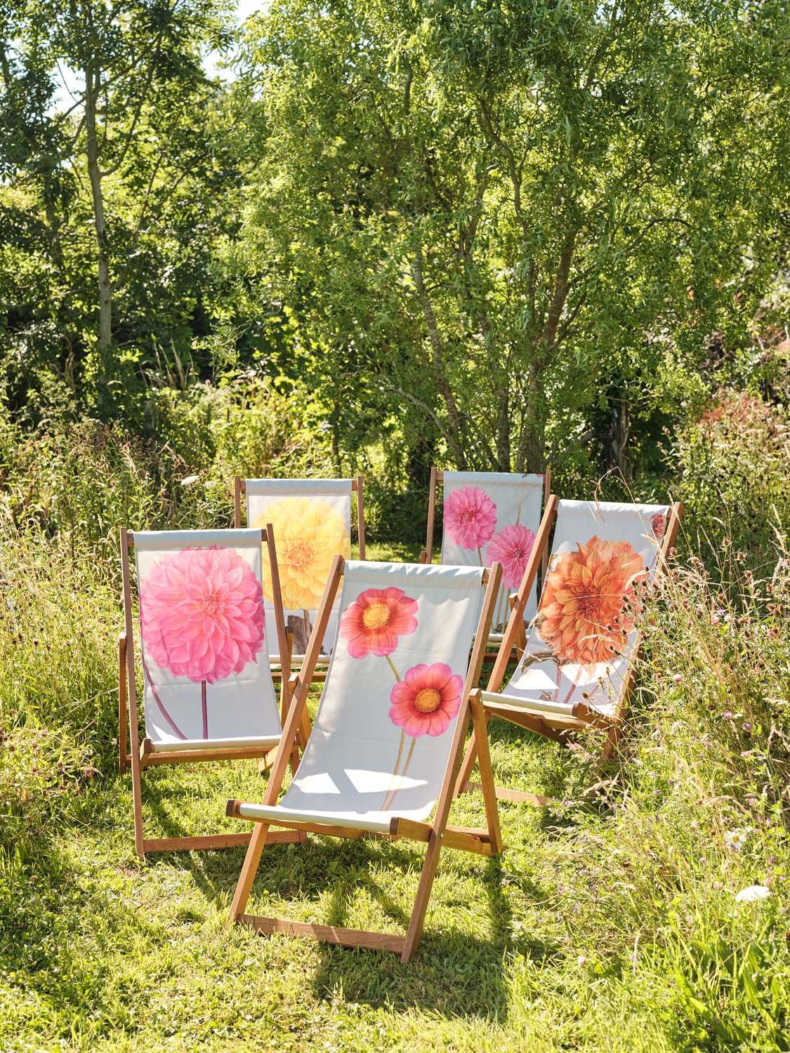 Jersey Beauty - Alfred Wise Botanical Art Print Deckchair