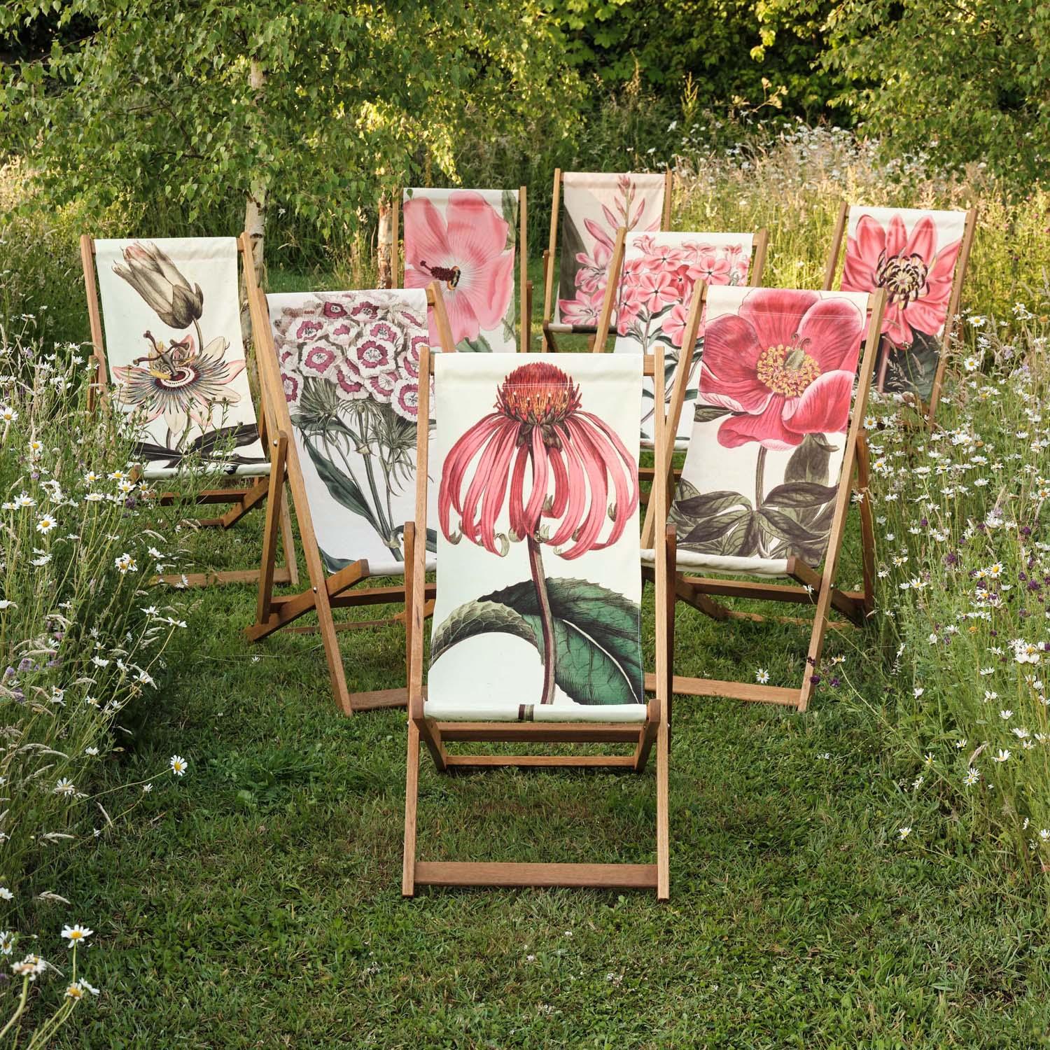 Splendid Hibiscus  - Botanical Designs Deckchair